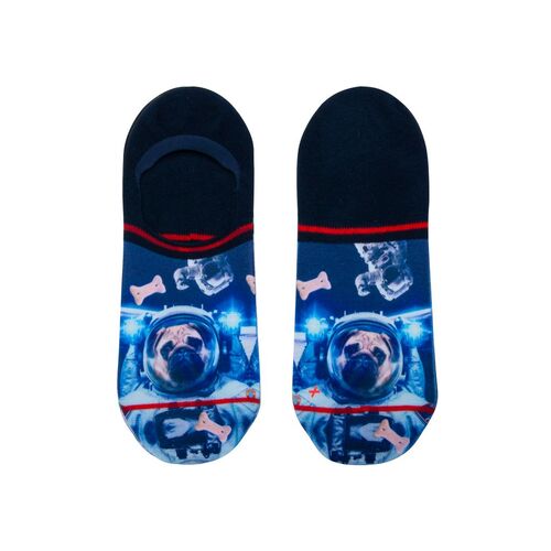 Pug In Space Invisible