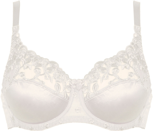 Underwired Bra