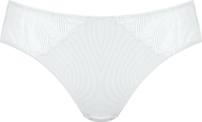 Brief