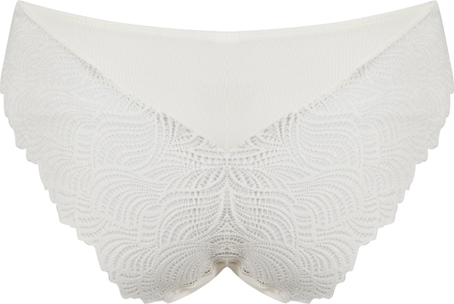 Brief