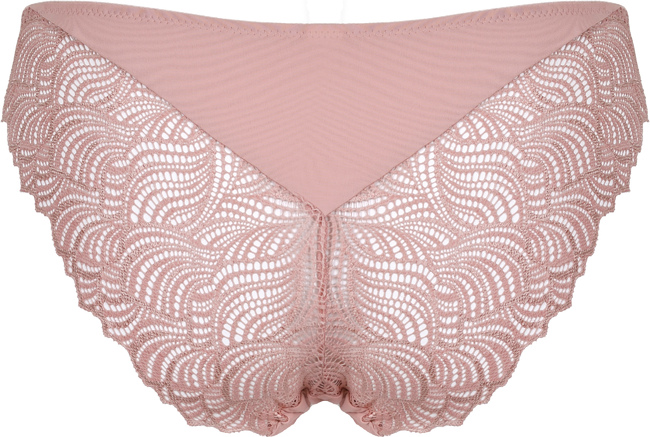 Brief