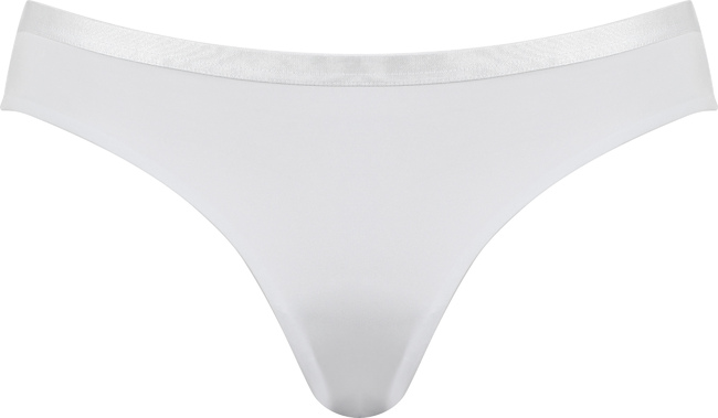 Brief