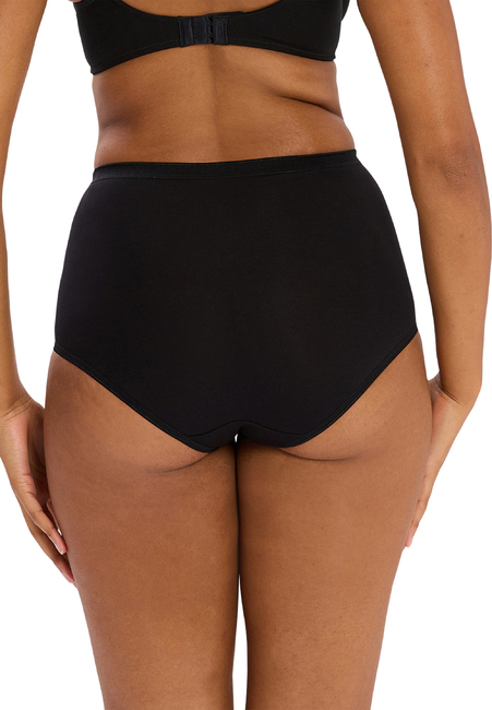 Highwaist Brief 3x