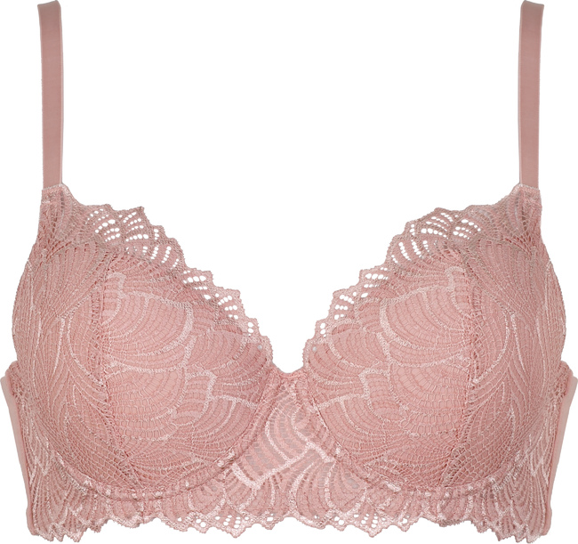 Padded Underwired Bra