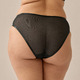 Brief