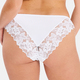 Brief