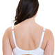 Classic Bra Wired